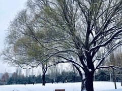-朝阳公园
