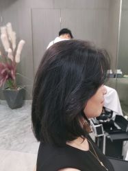 -IP SALON