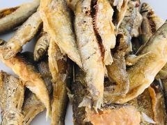 -庆岭迎宾园正宗活鱼馆