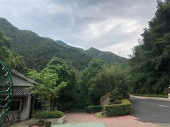 -长谷洞天