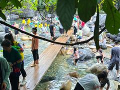 -石台牯牛降景区