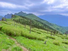 -秦岭风景区