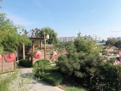 -郑州银基黄帝宫御温泉