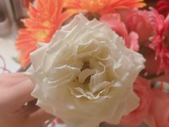 -小资太太餐厅(南岗区店)