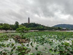 -顺峰山公园