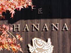 -鯛匠 HANANA