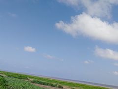 -南汇嘴观海公园