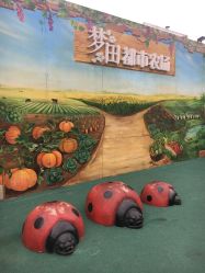 -梦田都市农场(银泰城店)