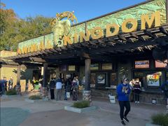 -奥兰多迪士尼动物王国乐园