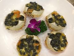 -王宝和酒家(黄浦店)