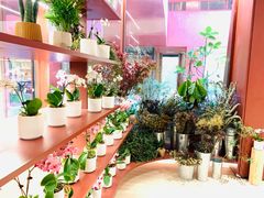 -二酉书店TOYOU BOOKS