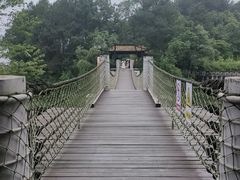 -铁山坪森林公园