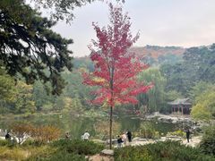 -香山公园