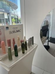 点击看大图 -金棕榈