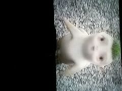 -博纳国际影城(淄博店)