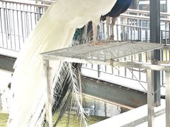 -渝半城经典川粤菜(重庆天地店)