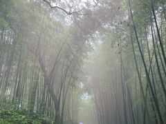 -西湖风景区十里琅珰-五云山