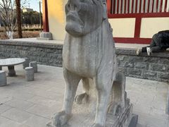 -洛阳古墓博物馆