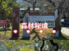 -霸王岭国家森林公园