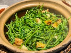 川香焗豆苗-廖川菜(金虹桥店)