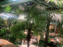 -春润大地海南椰子鸡(沙井京基百纳广场店)