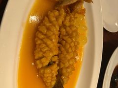 松鼠桂鱼-福1088
