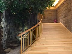 -阿斯牛牛·凉山菜(新会展店)