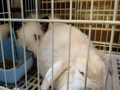 -小城外婆肴私房菜.家宴聚集点(圆明园颐和园·清河上地店)