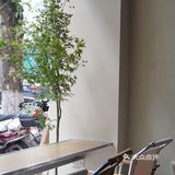 百店计画 | 在城市中野营,Glamping不仅是一种体验