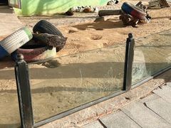 -鄂尔多斯野生动物园