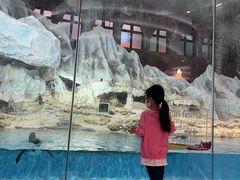 -帝企鹅自助餐厅•儿童岛•真企鹅(长隆企鹅酒店)