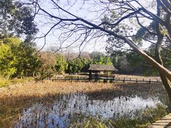 -兰亭风景区