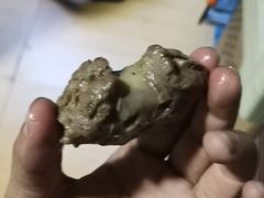 -大地农庄(逢沙大道店)