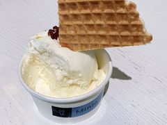 -Mint Gelato(二厂店)