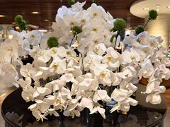 -索菲特银河锦厨自助餐(山西路店)