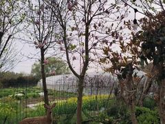 -不觉晓CAMPING(上海迪士尼营地店)