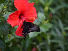 -上海动物园(地铁站)