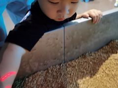 -侏罗纪世界电影特展(广州站)