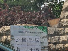 -绿堤公园