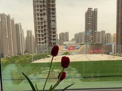 -红顶食府(滨湖九号店)