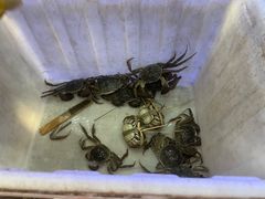 -蟹状元大闸蟹·年货·粽子(成都成华店)