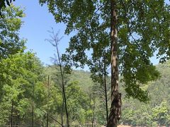 -广州市石门国家森林公园
