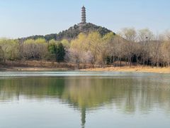 -北坞公园