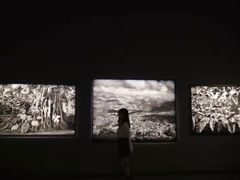 -府河摄影公园
