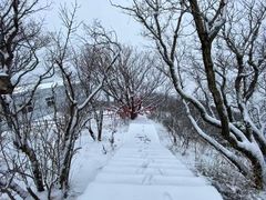 -牛背梁国家森林公园