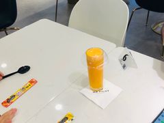 大堂-飞行喵MR PILOT|猫舍·猫咖(静安大融城店)