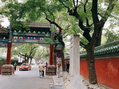 -北京国子监胡同