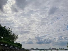 -上海滨江森林公园