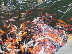 -南宫五洲植物乐园