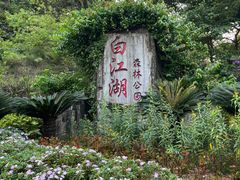 -广州白江湖森林公园